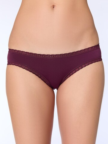 Albero Natur Panty 'Bio-Baumwoll-Slip mit Spitze – 3er Pack' in Black