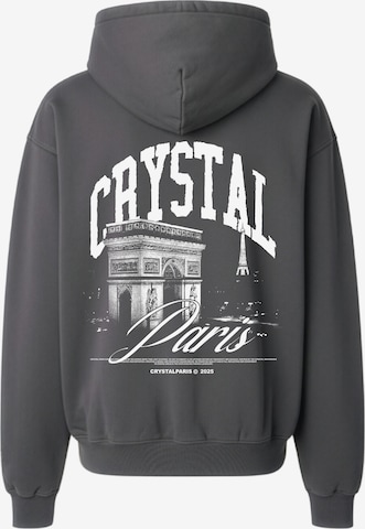 Crystal Paris Sweatshirt 'Arc' in Grey: front