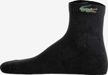 LACOSTE Sokken in Zwart: voorkant