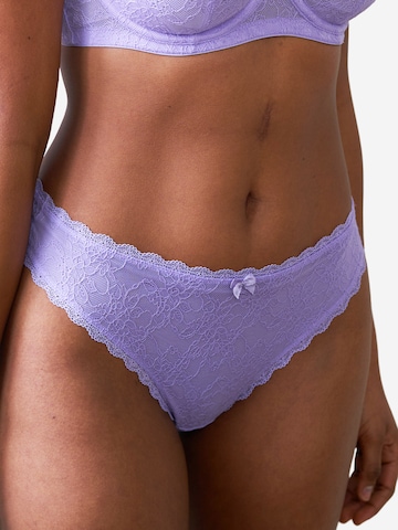 SugarShape Thong 'Sienna' in Purple