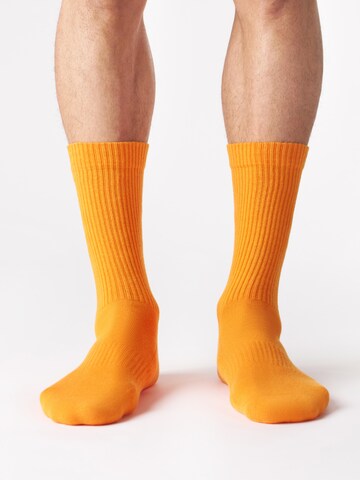 Von Jungfeld Socks 'CASUAL CLASSIC' in Orange