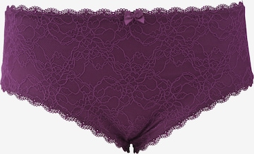 SugarShape Boyshorts 'Sienna' in Purple: front