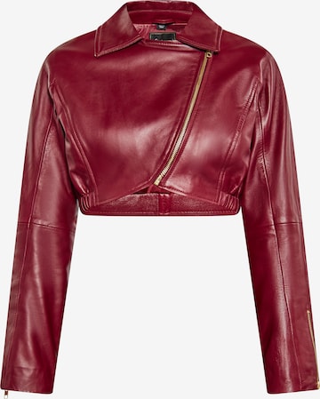 Geacă de primăvară-toamnă de la faina pe roșu: față