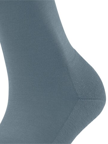 FALKE Socks 'ClimaWool' in Blue