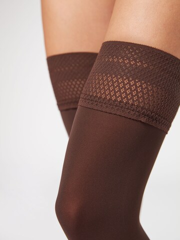 CALZEDONIA Feinstrümpfe in Braun