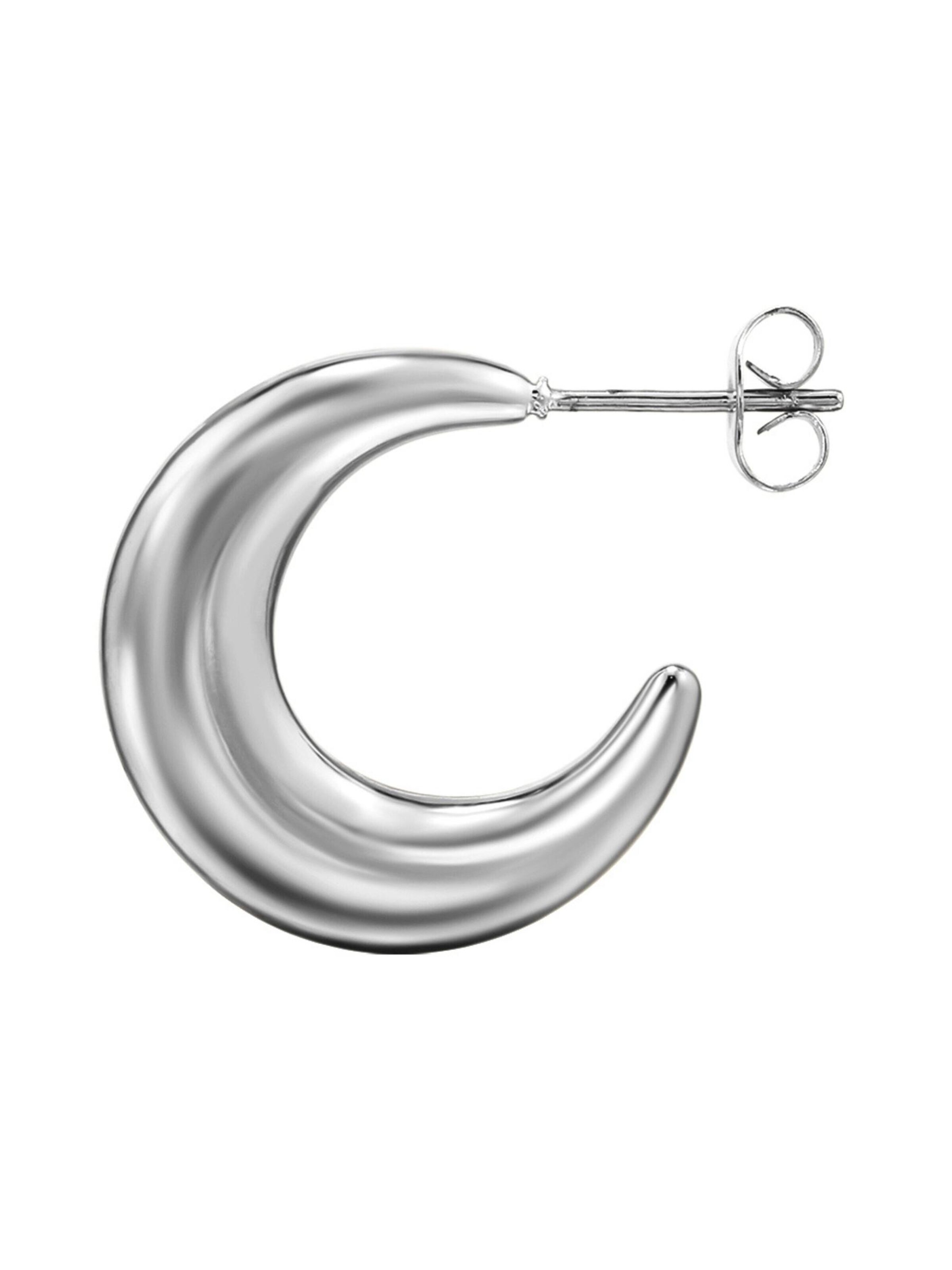 Maxte Earrings in Silver
