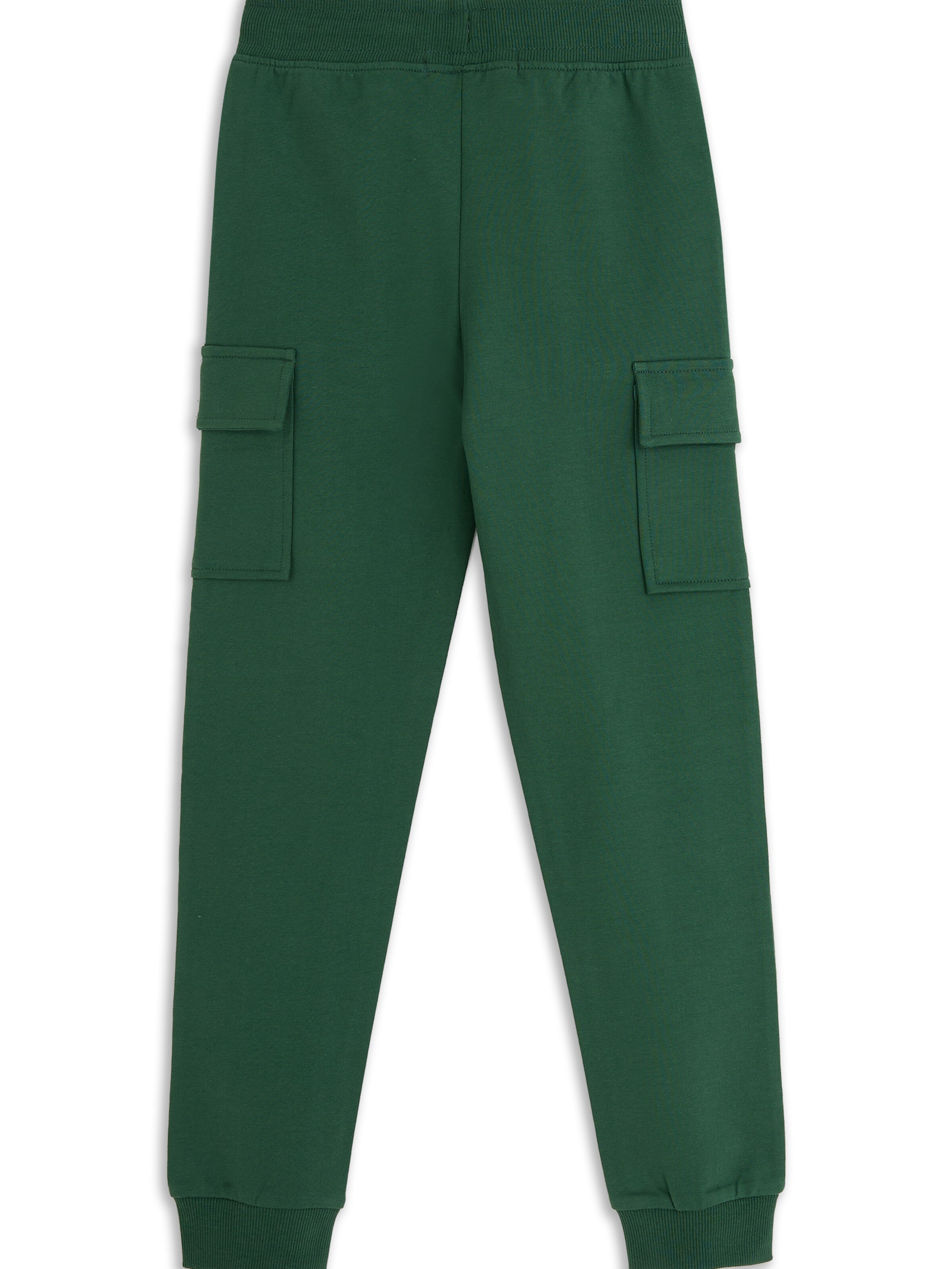 4PRESIDENT Regular Pants 'Abby' in Green