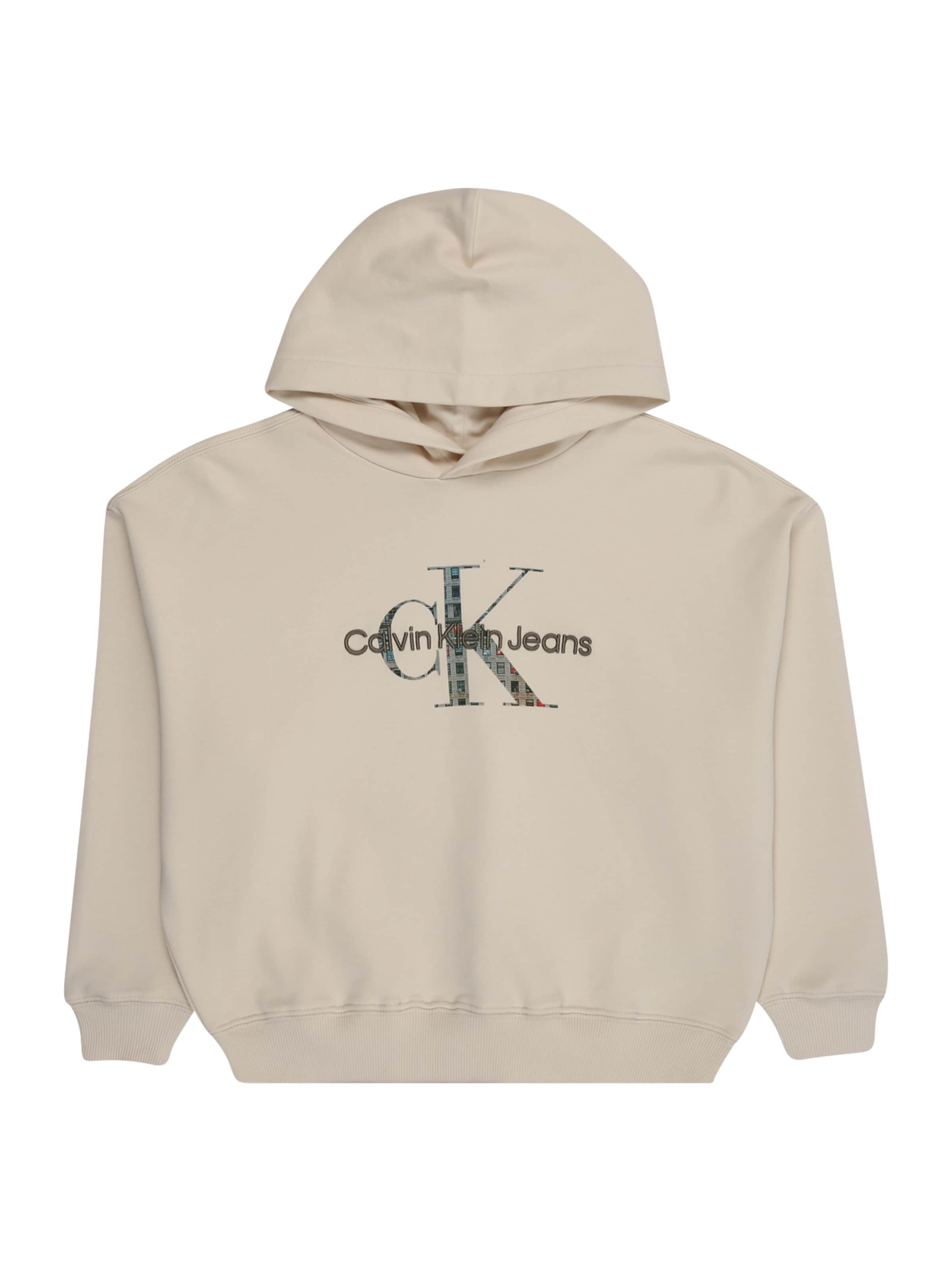 Calvin Klein Jeans Sweatshirt i grå: forside