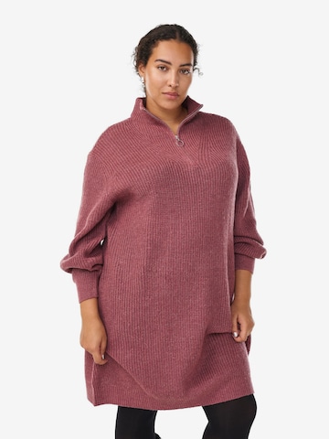 raudona Zizzi Megzta suknelė 'Fllola': priekis