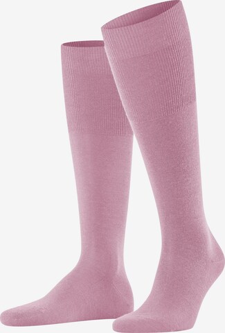 FALKE Knee High Socks 'Airport' in Pink: front