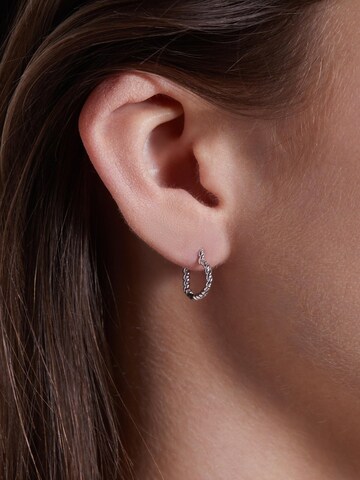 Boucles d'oreilles Lucardi en argent : devant