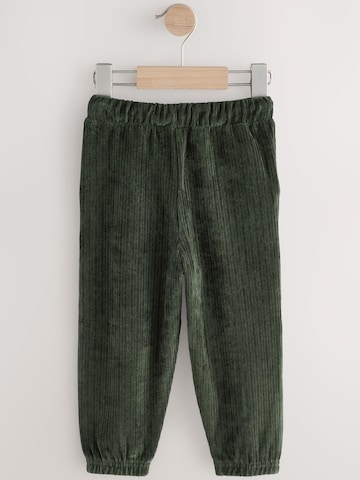 Wide Leg Pantalon Next en vert