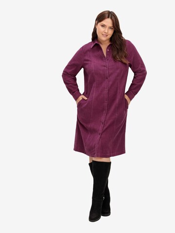 SHEEGO Shirt Dress in Purple: front