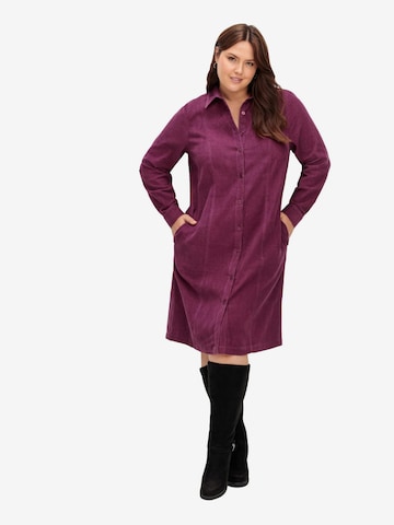 SHEEGO Shirt Dress in Purple: front