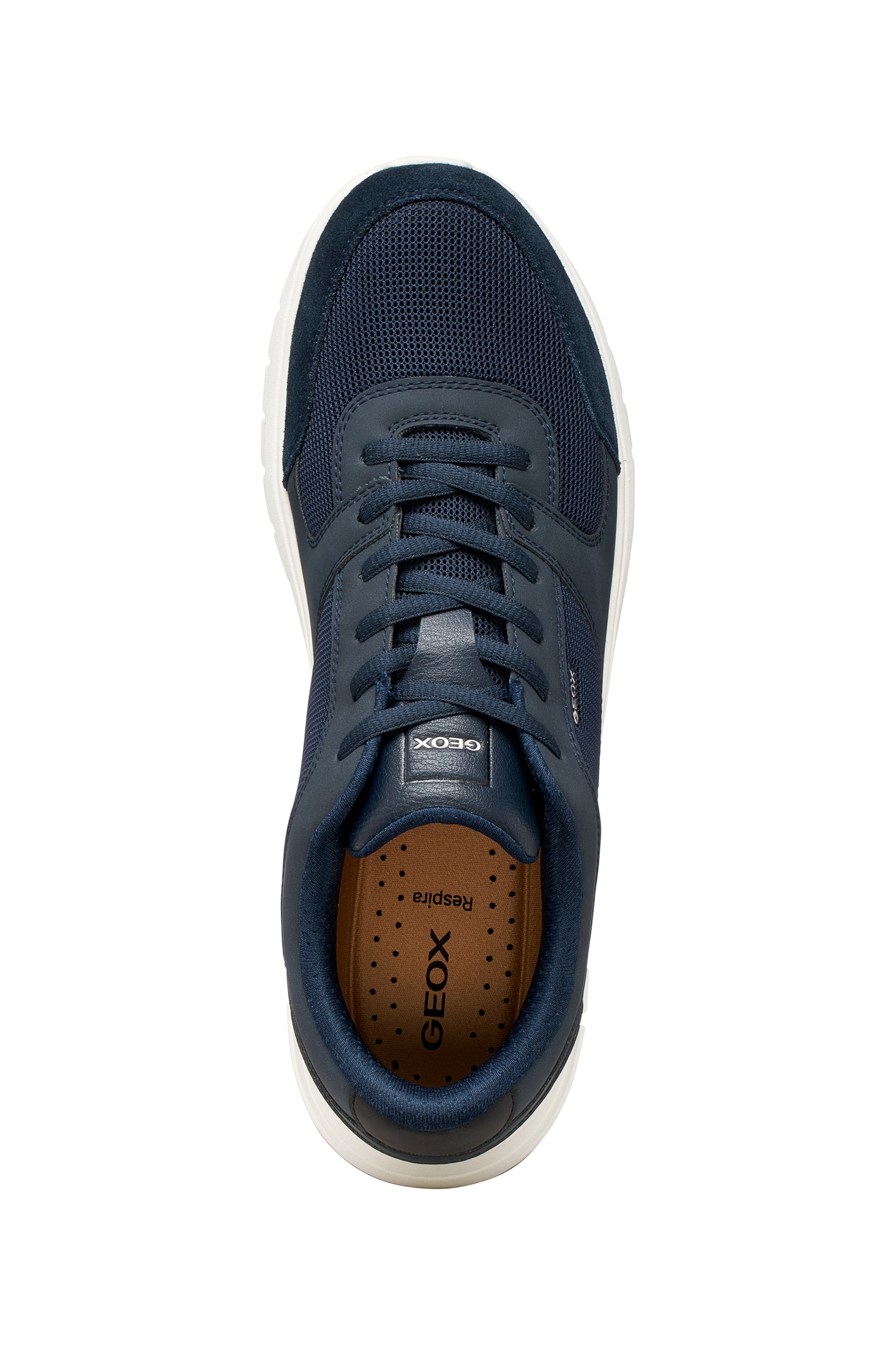 GEOX Sneaker in Blau