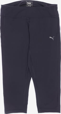 PUMA Shorts in L in Grey: front