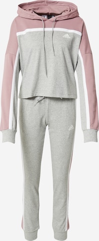 ADIDAS PERFORMANCE Tracksuit in Grey: front