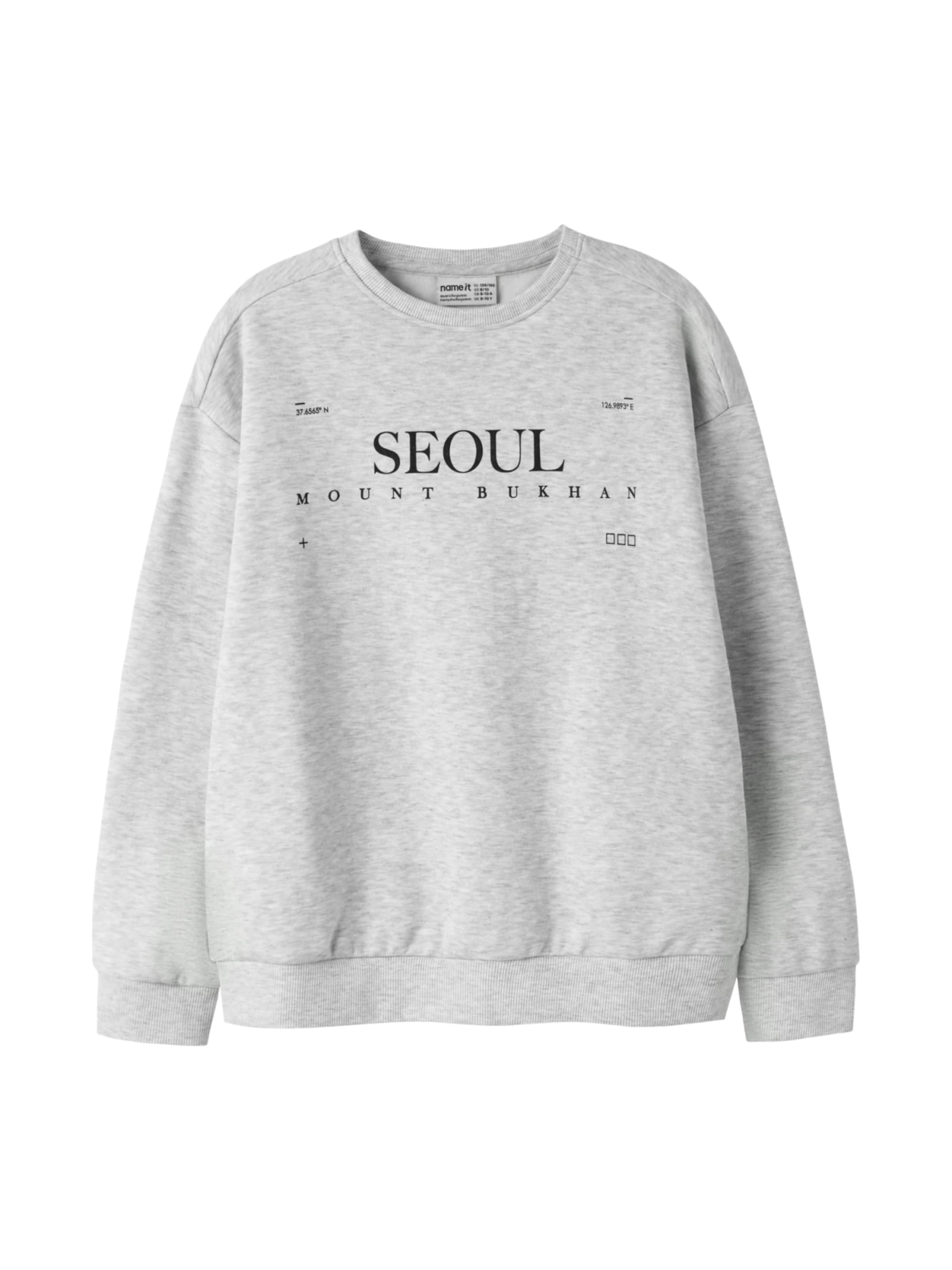 NAME IT - Sudadera 'Franz' en gris: frente