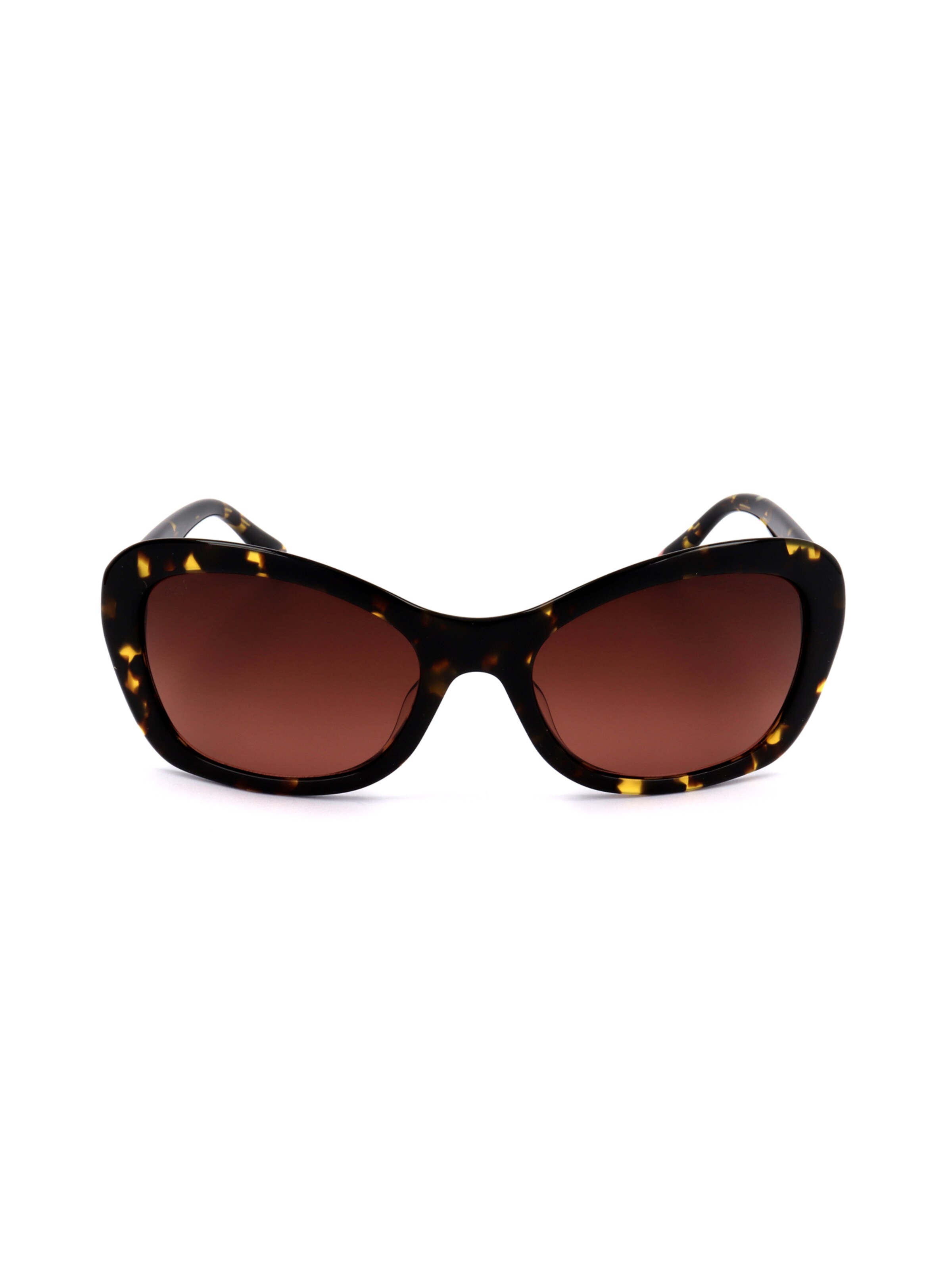 Occhiali da sole 'WE0289' di Web Eyewear in marrone: frontale