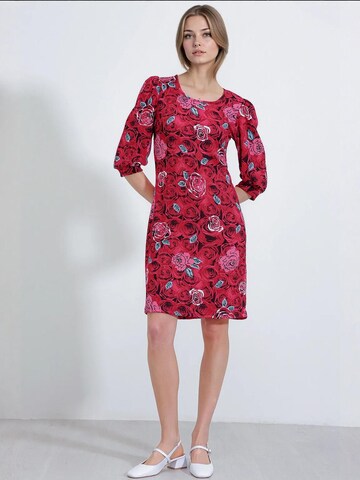 Robe Bigdart en rouge