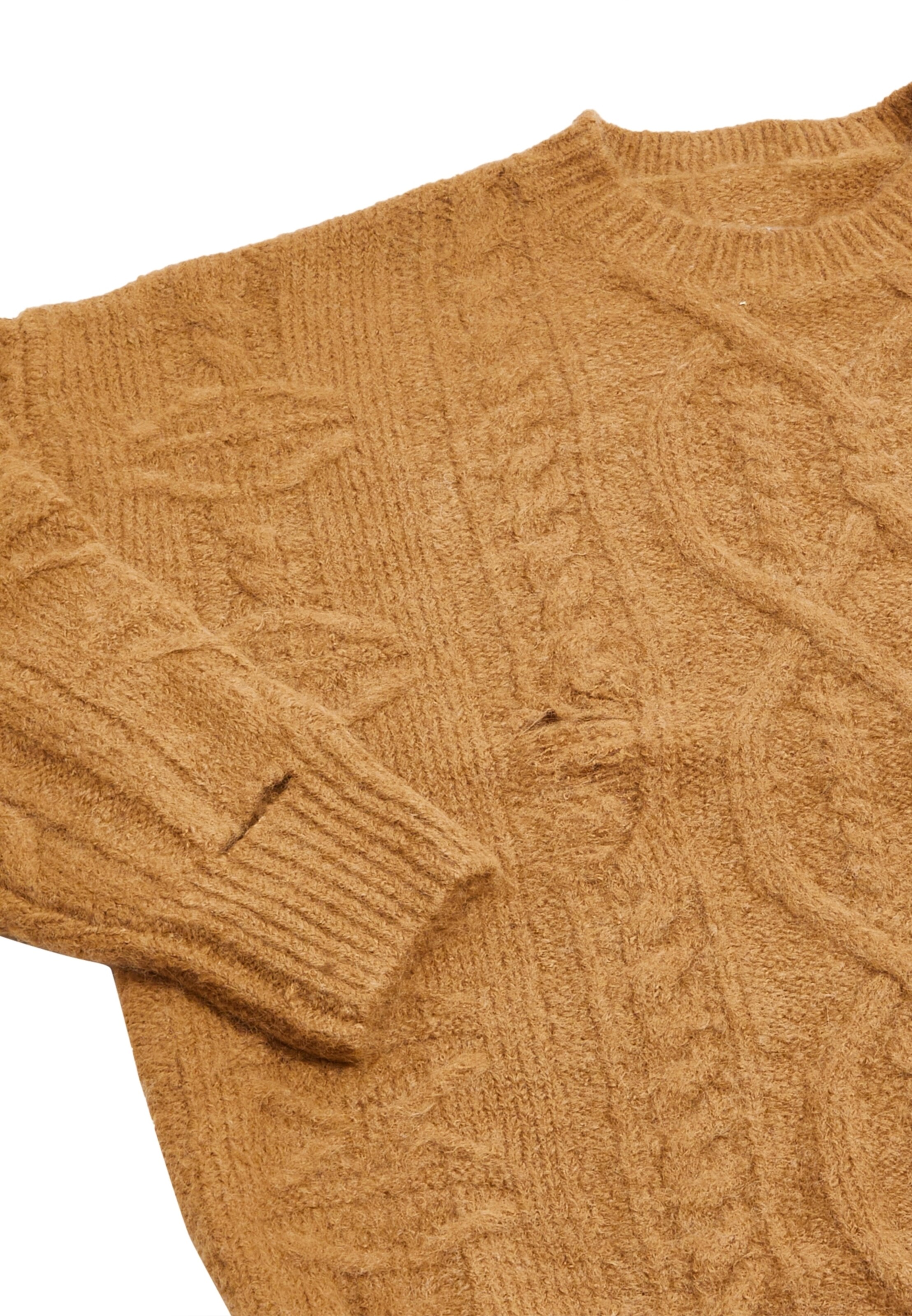 Tanuna Trui in Bruin