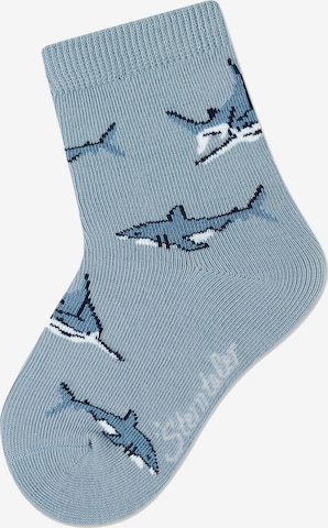 STERNTALER Socks in Blue