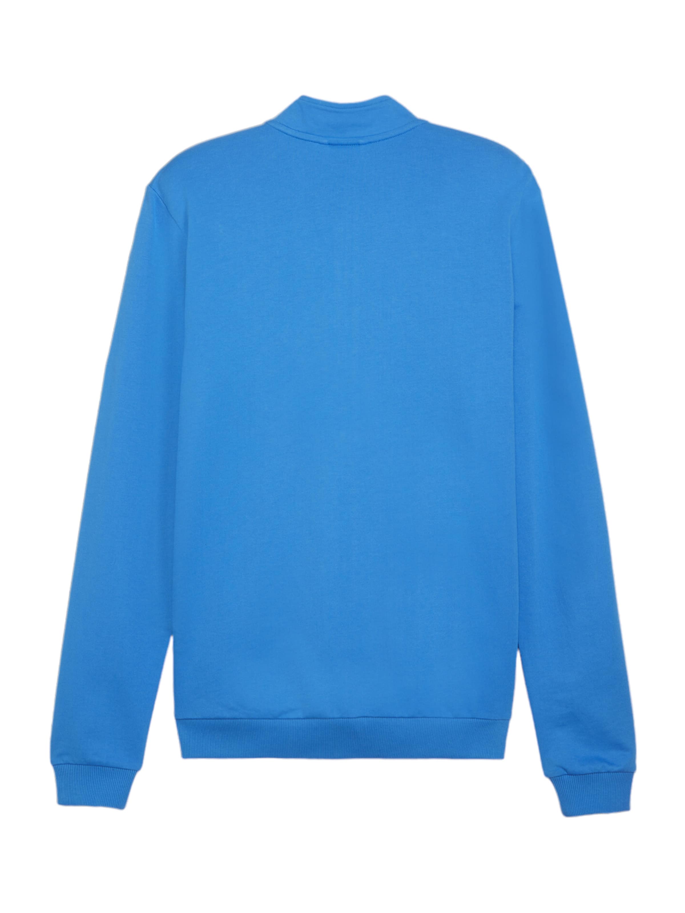 PUMA Outdoor jacket 'TeamGoal' in Blue