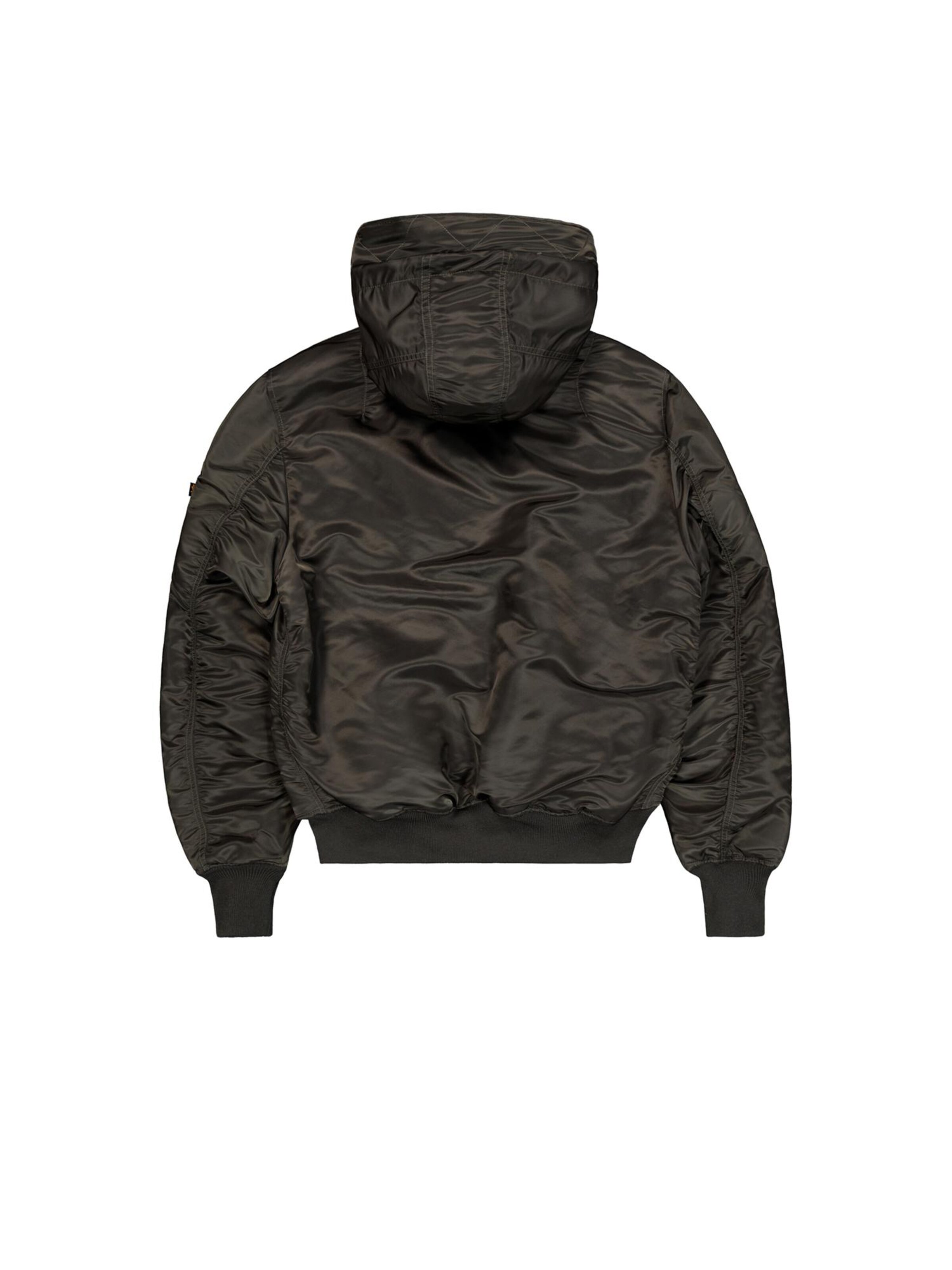 ALPHA INDUSTRIES Winter Jacket 'Ma-1' in Green