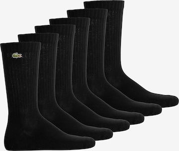 Chaussettes LACOSTE en noir : devant