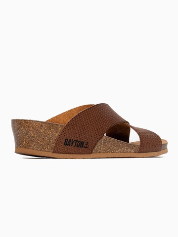 Bayton Mule 'Marta' in Brown