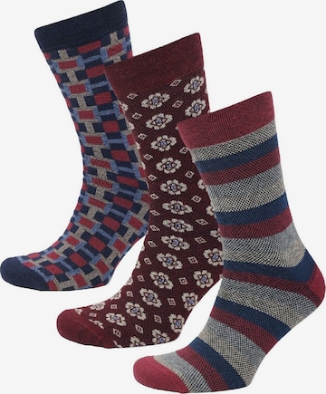 Real Guys Socks in Mixed colours: front