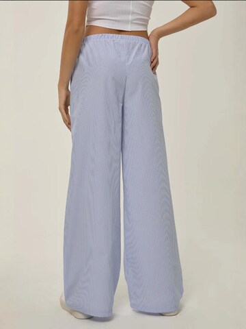 Hiccup Wide leg Broek in Blauw