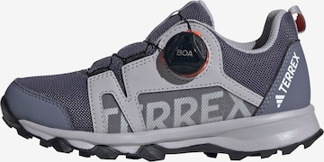 ADIDAS TERREX Полуботинки 'Agravic Boa' в Лиловый: спереди