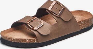 Cruz Mules 'Whitehill' in Brown: front