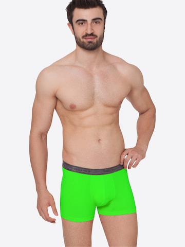 celodoro Boxershorts 'Elastix'‌‌‌‌‌‌‌ in Grün