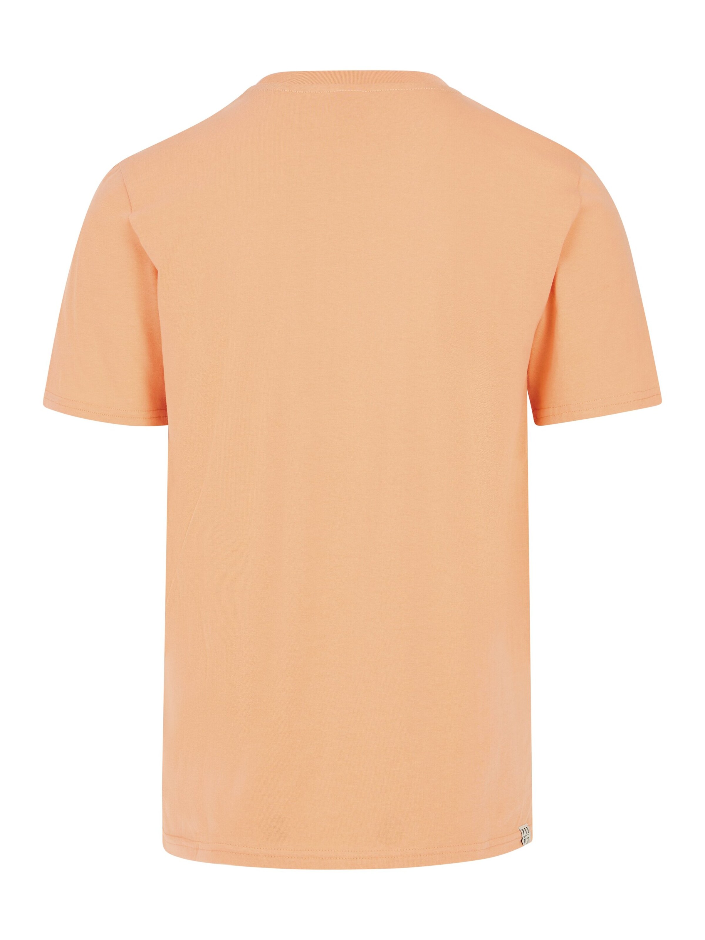 PROTEST Shirt 'PRTBarn' in Orange