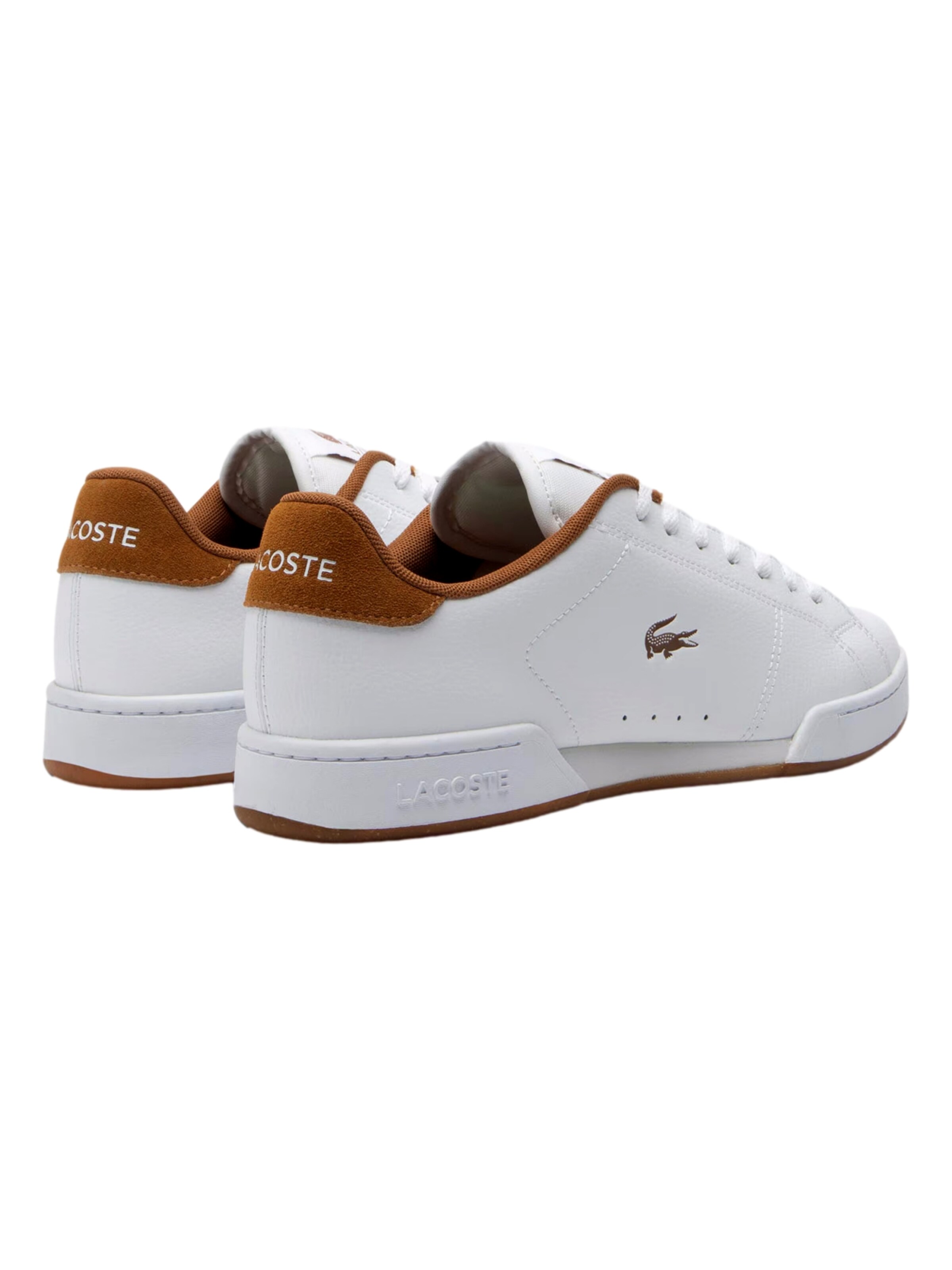 LACOSTE Nízke tenisky 'Carnaby Cup' - Biela