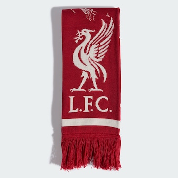 Écharpe 'FC Liverpool' ADIDAS PERFORMANCE en rouge