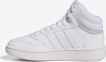 ADIDAS PERFORMANCE Athletic Shoes 'Hoops' in White: front