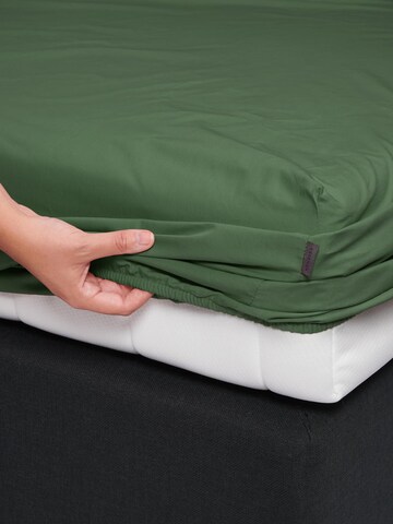 ESSENZA Bed Sheet 'Minte' in Green