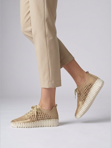 ILSE JACOBSEN Sneaker low 'Tulip' i brun: forside