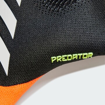 Gants de sport 'Predator Pro Goalkeeper' ADIDAS PERFORMANCE en mélange de couleurs