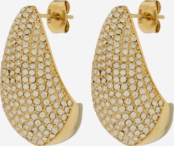 Liu Jo Korvakoru värissä kulta: etupuoli