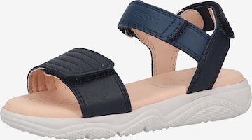 GEOX Sandals in Blue: front
