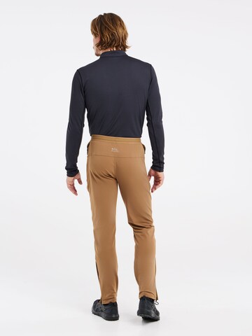 PROTEST Regular Hose 'PRTMACKAYE' in Braun