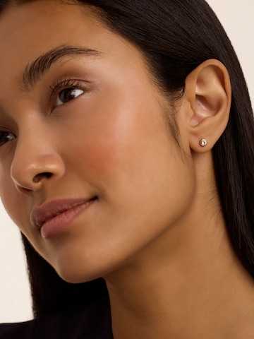 Ted Baker Earrings 'SINEE' in Gold: front