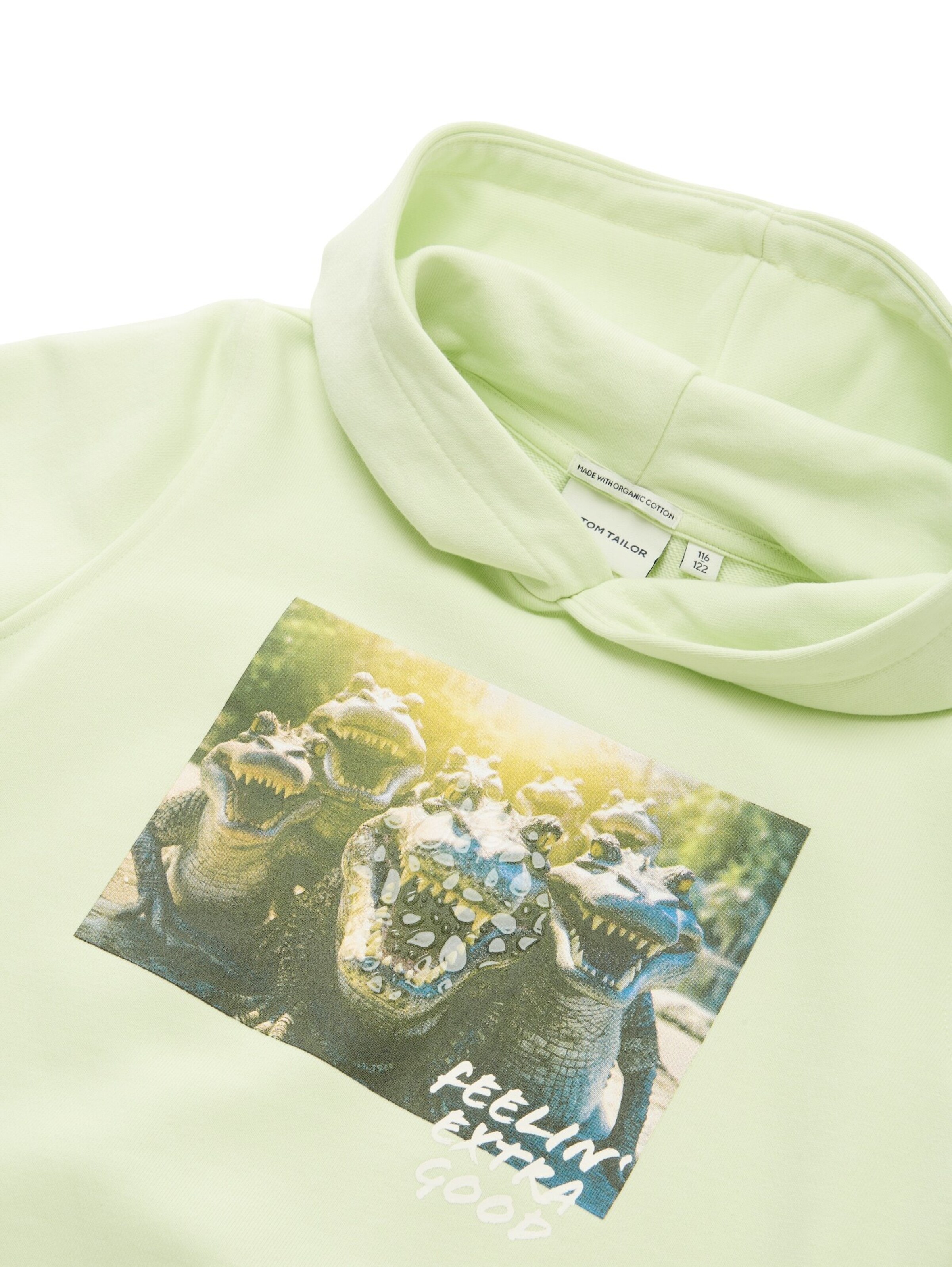TOM TAILOR Sweatshirt in Green