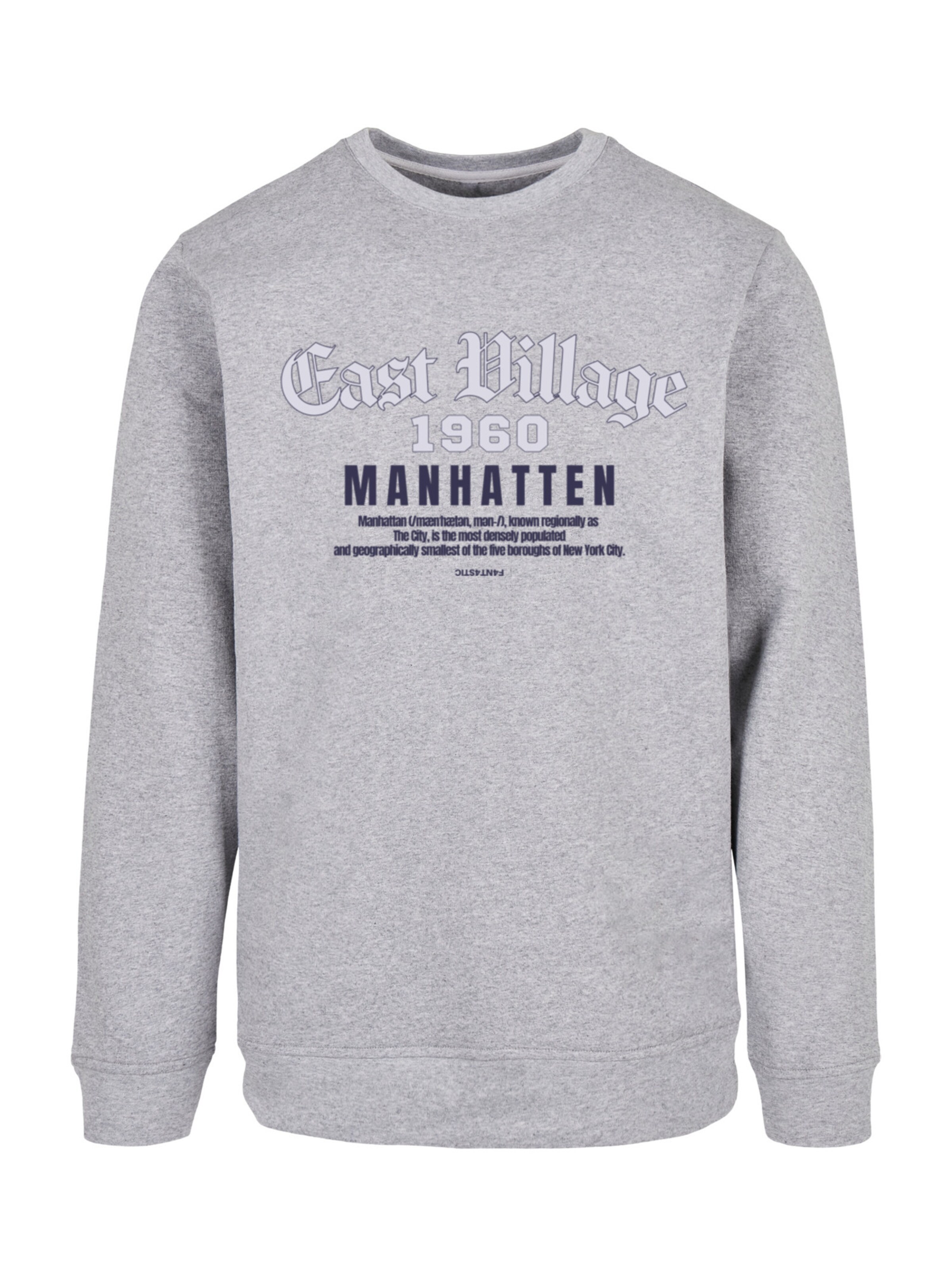 F4NT4STIC Sweatshirt in Grey: front