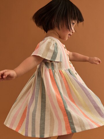 Next Kleid in Mischfarben