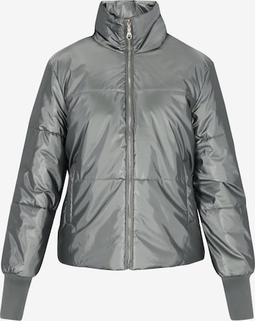 faina Winter jacket in Grey: front